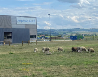 Providing Renewable Energy