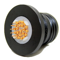 Product Iguana 38999